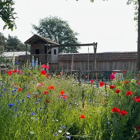 Logies Tuin Der Zinnen