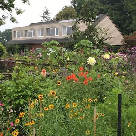 فندق مبيت وإفطار Logies Tuin Der Zinnen 3*