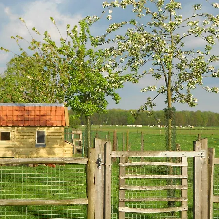 Logies Tuin Der Zinnen